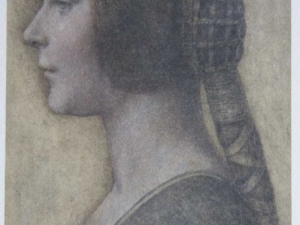 blandat La Bella Principessa (vykort)